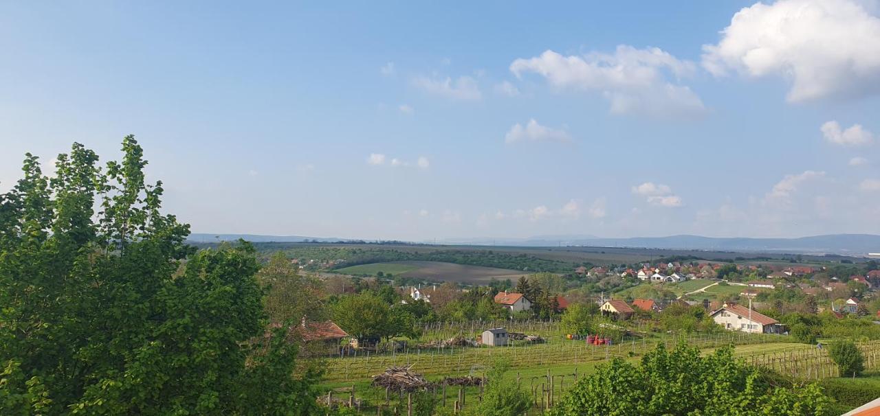 Buborek Apartman - Etyek Buitenkant foto